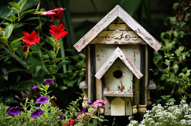 bird house